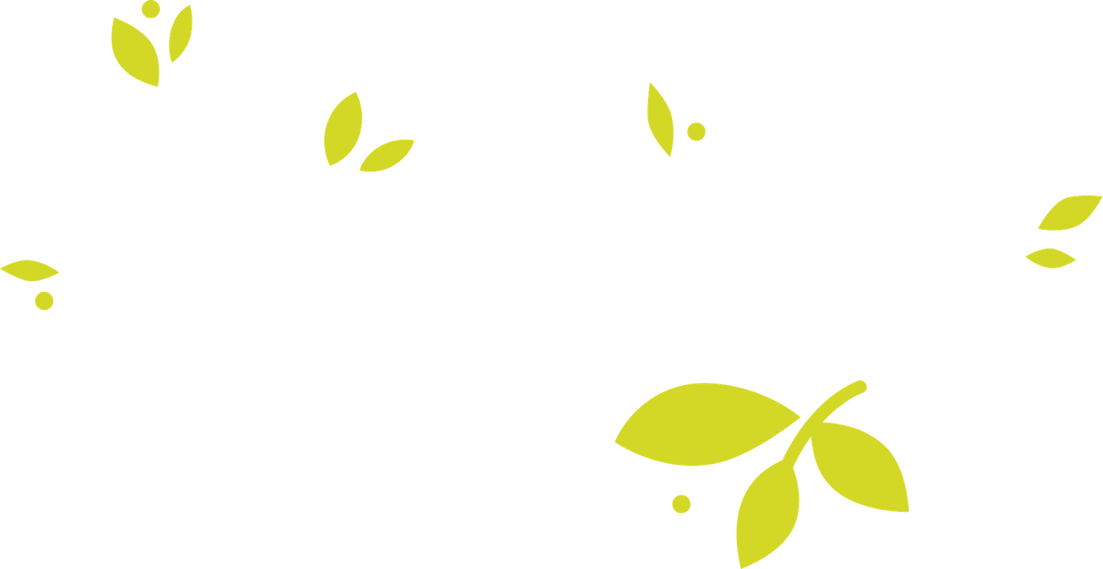 Logo Desinchá